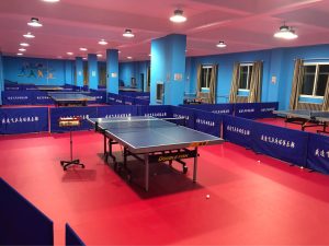 led lights for table tennis